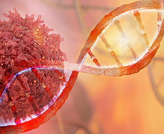 Circulating Tumor DNA Screening detects the mutant cells